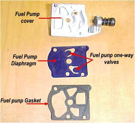 walbro1d.jpg (41807 bytes)